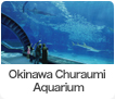 Okinawa Churaumi Aquarium