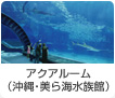 アクリル板を用いた、アクアルーム（沖縄・美ら海水族館）の巨大アクリルパネル